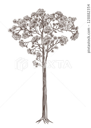 Print Illustration of a decorative pine tree in black and white in vector Print Illustration of a decorative pine tree in black and white in vector 128882354
