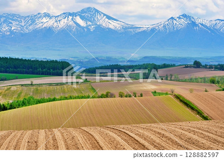 Majestic scenery of the hilly fields and Tokachi mountain range in Kamifurano, Hokkaido 128882597
