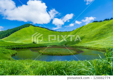 奈良縣曾爾村：盛夏的曾爾高原與大龜池 128882774