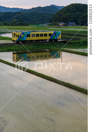 黃昏時分，平成築豐鐵道400系列車倒映在水中 128882813