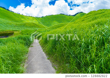 Soni Village, Nara Prefecture: Midsummer walking trails on the Soni Plateau Soni Village, Nara Prefecture: Midsummer walking trails on the Soni Plateau 128882822