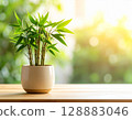 吉祥竹：柔和的光線籠罩著舒緩的綠色 128883046