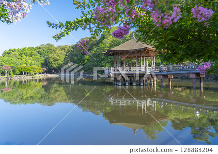 夏日早晨奈良公園浮世堂倒影 夏日早晨奈良公園浮世堂倒影 128883204