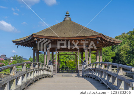 夏日早晨奈良公園浮世堂 夏日早晨奈良公園浮世堂 128883206