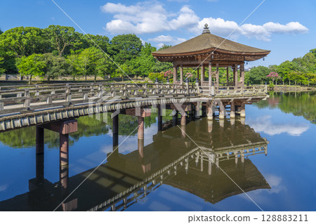 夏日早晨奈良公園浮世堂倒影 夏日早晨奈良公園浮世堂倒影 128883211