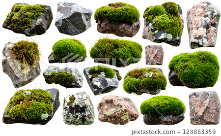 Moss and Lichen Covered Stone Rock Collection 128883359