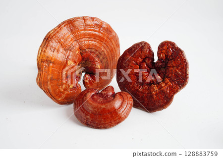 Lingzhi or Reishi mushroom with capsules, organic natural healthy food. 128883759