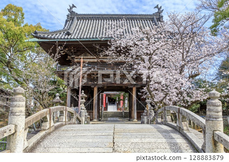 名古屋笠寺觀音山門與盛開的櫻花 128883879
