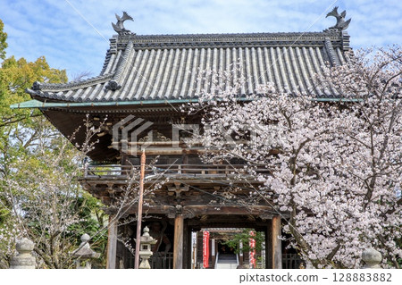 名古屋笠寺觀音山門與盛開的櫻花 名古屋笠寺觀音山門與盛開的櫻花 128883882