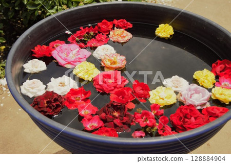 Rose flower floating in a water basin 128884904