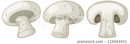 White Button Mushrooms Whole and Sliced Vector Set 128884952