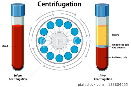 Blood Separation Process Using Laboratory... - Stock Illustration ...