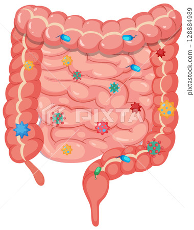 Human Intestine with Gut Microbiome Vector Illustration 128884989