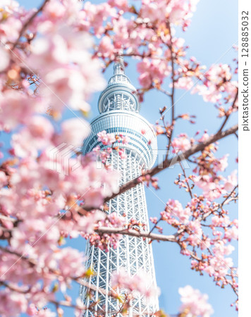 東京晴空塔（東武橋） 128885032