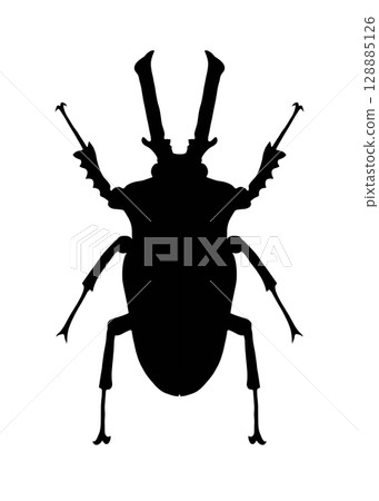 Stag beetle silhouette illustration 128885126