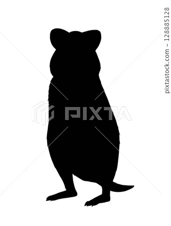 Quokka silhouette illustration Quokka silhouette illustration 128885128