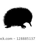 Echidna silhouette illustration 128885137