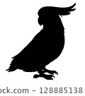 Sulphur-crested Cockatoo Silhouette Illustration 128885138