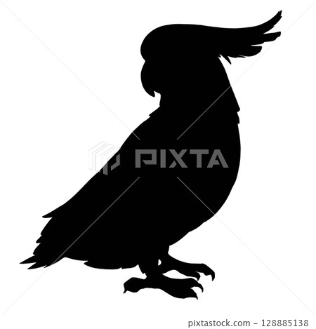 Sulphur-crested Cockatoo Silhouette Illustration 128885138