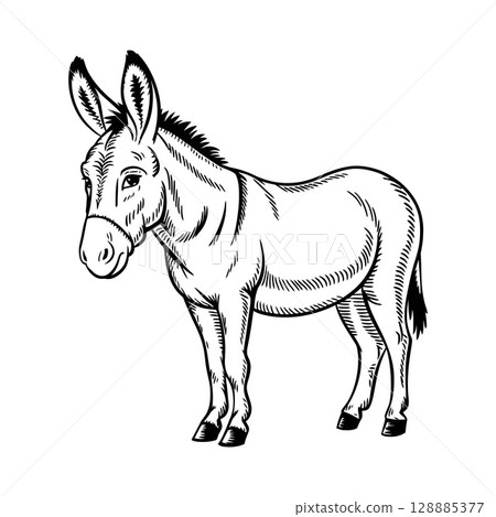 Black and White Donkey Illustration Black and White Donkey Illustration 128885377