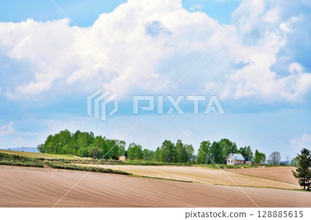 Spectacular views of Biei Town, Hokkaido Spectacular views of Biei Town, Hokkaido 128885615