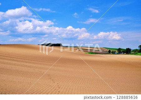 Spectacular views of Biei, Hokkaido Spectacular views of Biei, Hokkaido 128885616