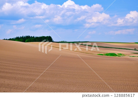 Spectacular views of Biei, Hokkaido Spectacular views of Biei, Hokkaido 128885617