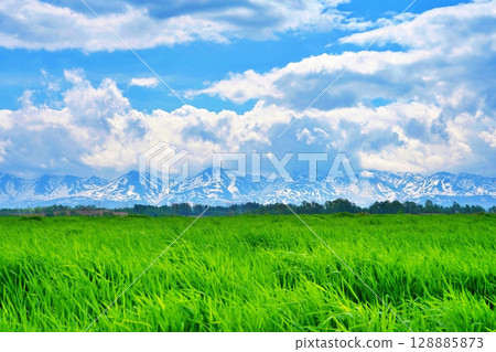 Summer in Hokkaido: View of Biei grassland and Tokachi mountain range 128885873
