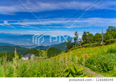 （長野縣）志賀高原、東館山高山植物園的黃花菜盛開 128886049