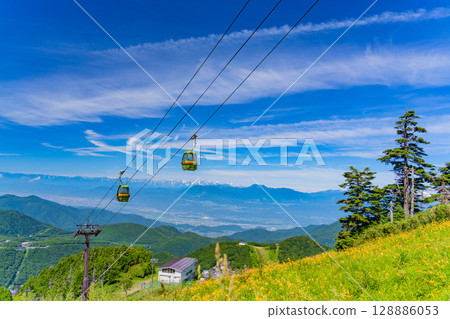 （長野縣）志賀高原、東館山高山植物園的黃花菜盛開 128886053