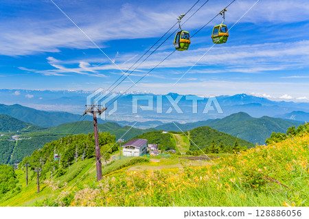 （長野縣）志賀高原、東館山高山植物園的黃花菜盛開 128886056