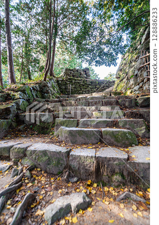 Azuchi Castle ruins, Cathedral ruins 128886233