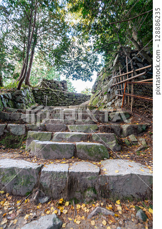 安土城遺址、大教堂遺址 安土城遺址、大教堂遺址 128886235