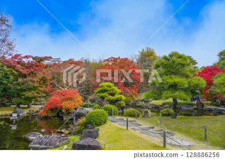 Colorful autumn foliage at its best in a Japanese garden Colorful autumn foliage at its best in a Japanese garden 128886256