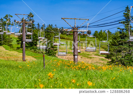 （長野縣）志賀高原、澀峠纜車、日葵花 128886268