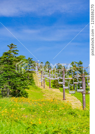 （長野縣）志賀高原、澀峠纜車、日葵花 128886270