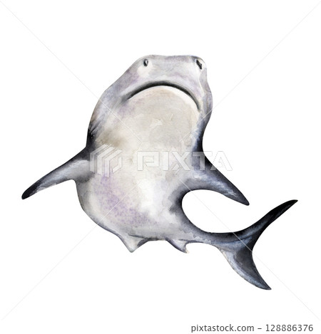 Shark swimming upward, bottom view in monochrome style Shark swimming upward, bottom view in monochrome style 128886376