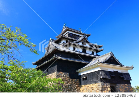 [Shimane Prefecture] Matsue Castle Tower (national treasure) on a clear day 128886468