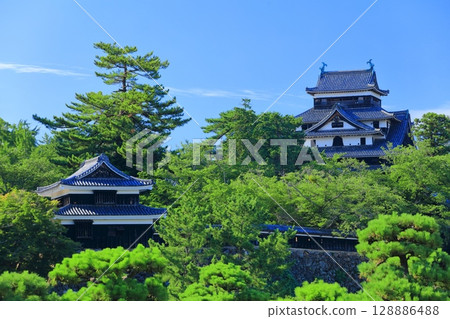 [島根郡] 晴天的松江城天守閣和南塔（國寶） 128886488