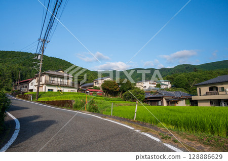 田園風光：伊豆的原始風光 128886629