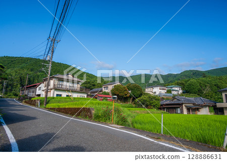 田園風光：伊豆的原始風光 128886631