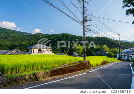 Idyllic rural scenery: Izu's original scenery 128886716