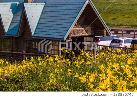 [北海道_小清水原始花園] 北海道屈指可數的原始花園之一，可欣賞天然花田 128886745