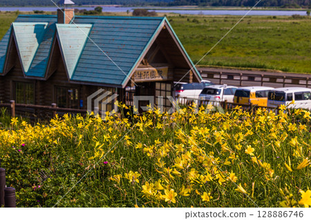 [北海道_小清水原始花園] 北海道屈指可數的原始花園之一，可欣賞天然花田 128886746