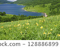 Day lilies blooming on the shores of Lake Nozori in early summer 128886899