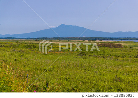 [Hokkaido_Koshimizu Primeval Flower Garden] One of Hokkaido's leading primeval flower gardens where you can enjoy natural flower fields 128886925