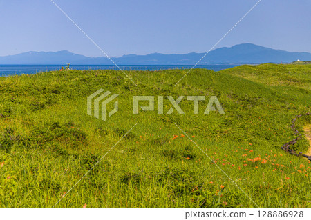 [北海道_小清水原始花園] 北海道屈指可數的原始花園之一，可欣賞天然花田 128886928