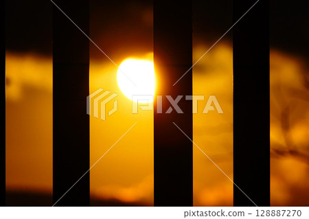 Sunset seen from behind a tree on an autumn day 128887270