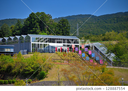 Chubu Region, Mishima Skywalk, a fun-to-see sky garden, Mishima City, Shizuoka Prefecture (1) Chubu Region, Mishima Skywalk, a fun-to-see sky garden, Mishima City, Shizuoka Prefecture (1) 128887554