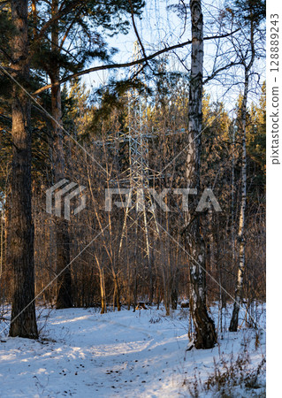Metal tower of power lines among trees. 128889243